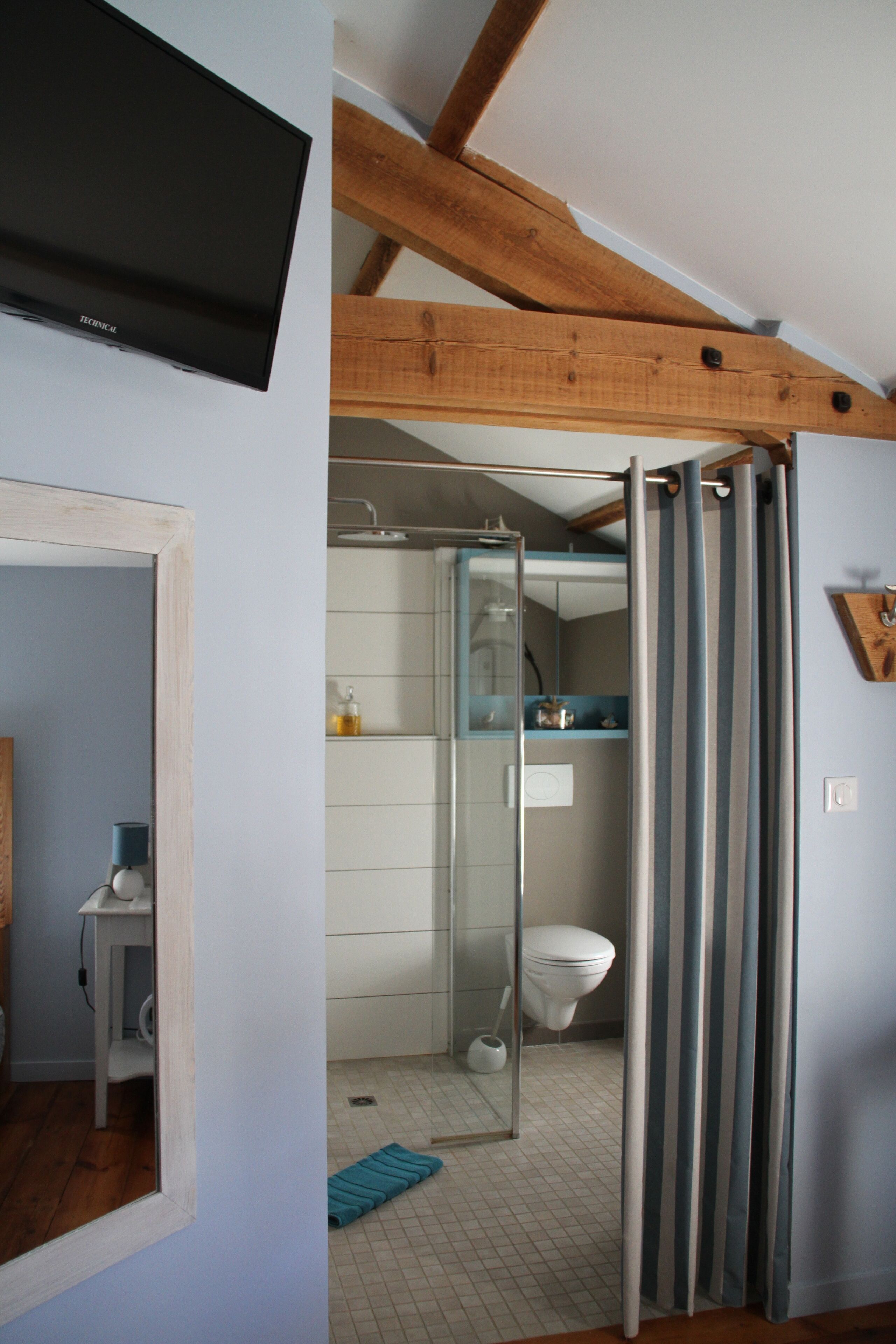 Een badkamer met een douche, toilet en spiegel.
