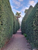 Un sendero bordeado por setos cuidados, que lleva hacia una palmera.