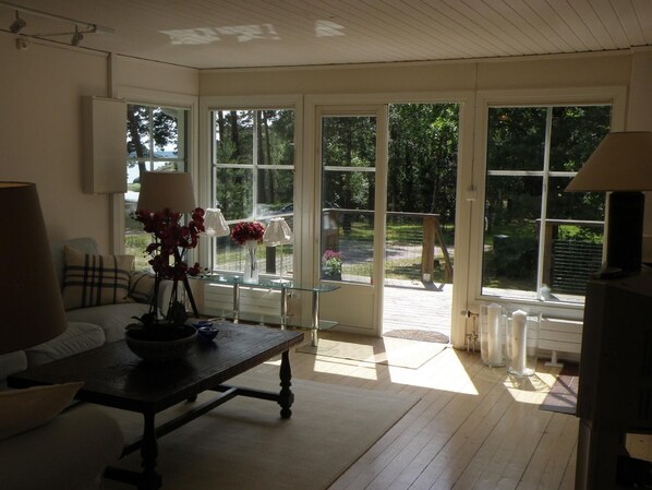 Télévision, cheminée