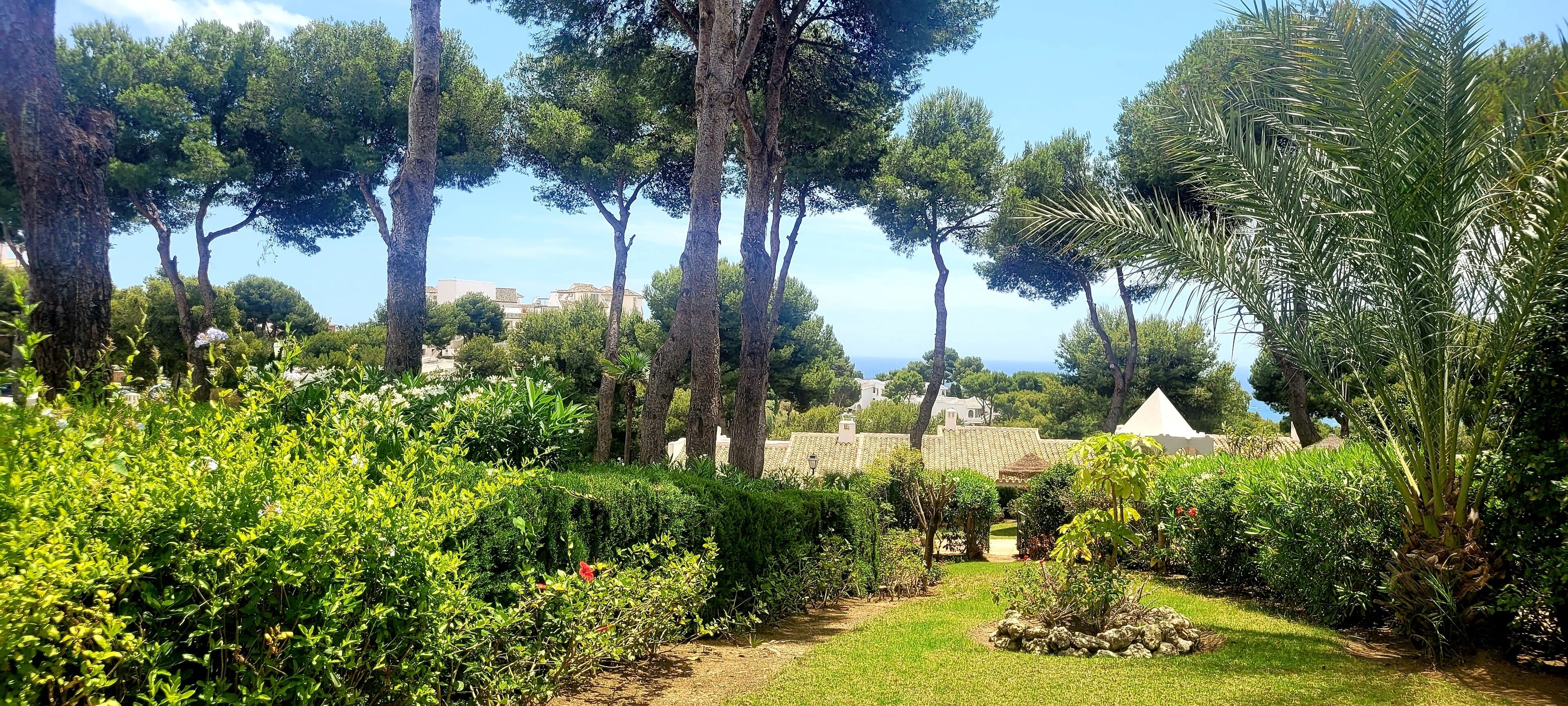 Ein Garten mit verschiedenen Bäumen und Sträuchern, einer kleinen Felsformation und einer entfernten Ansicht von Gebäuden.