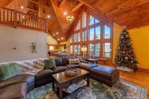 Smart TV, fireplace, books, stereo