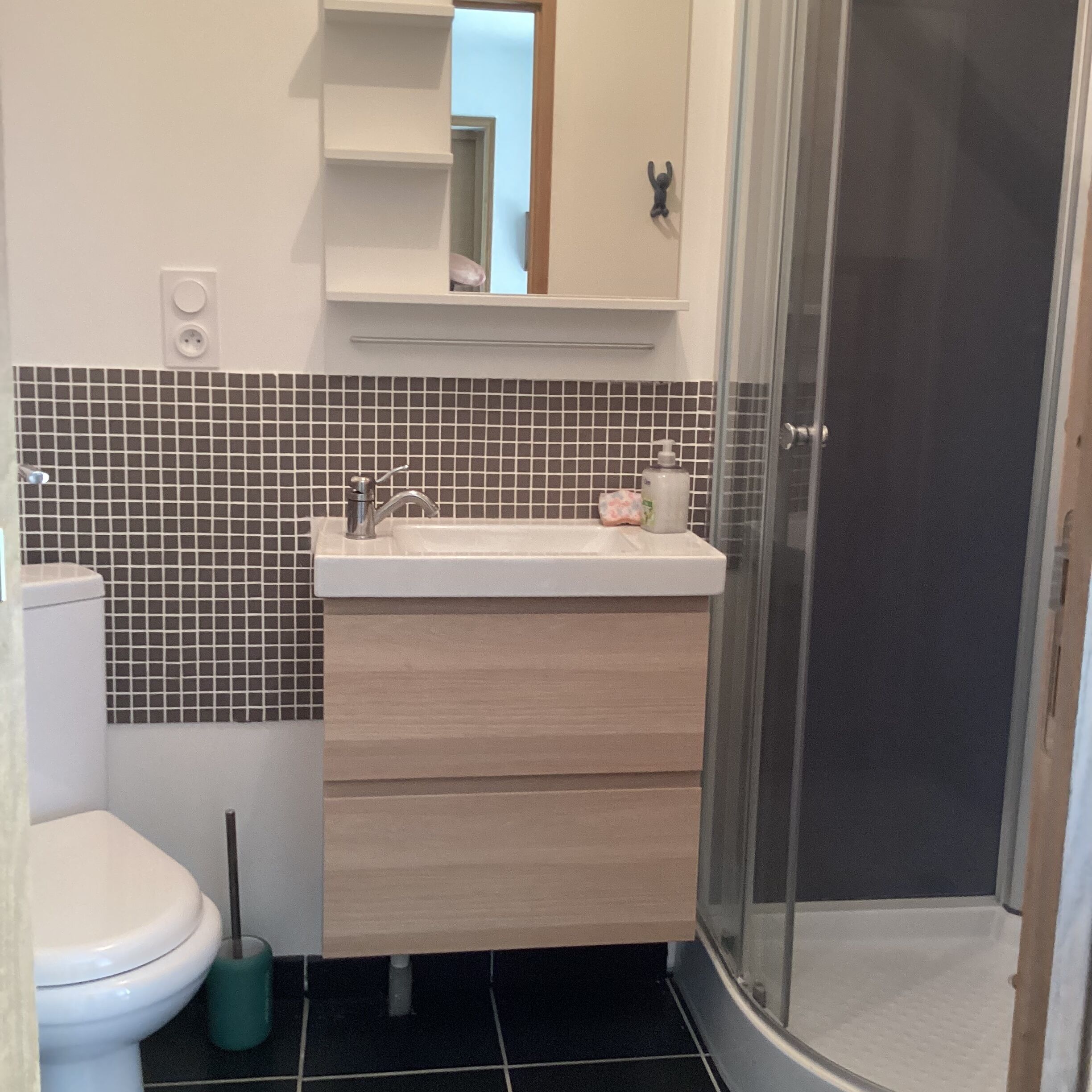 Shower, hair dryer