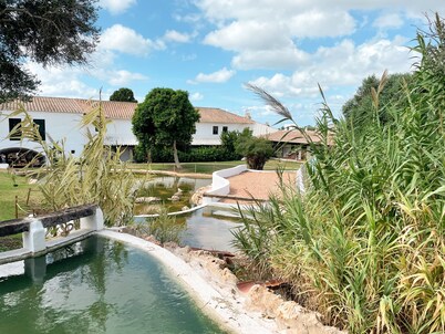 Binivell Park -Caliu Apartments 
