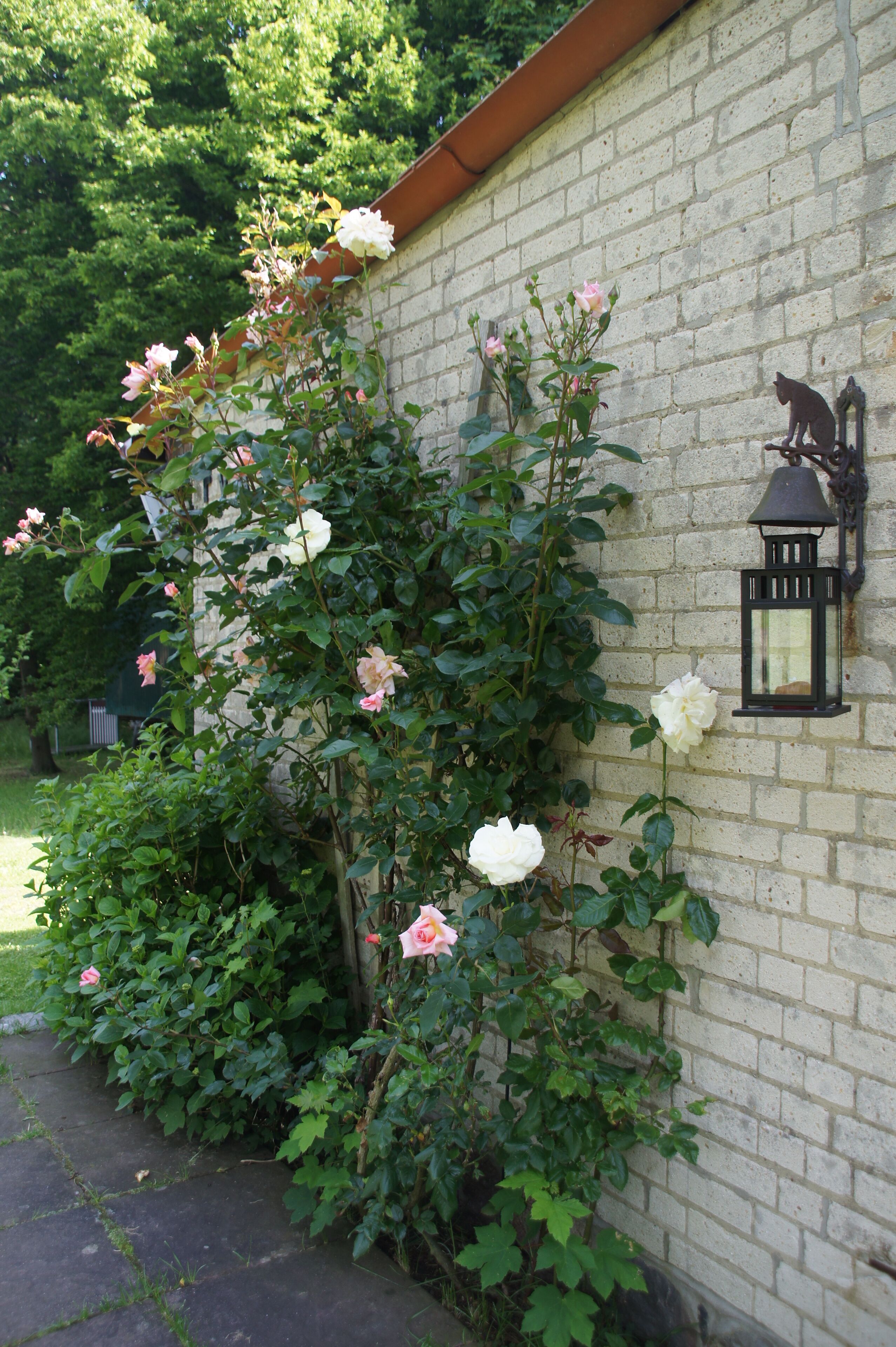 Foto - Gut Basthorst