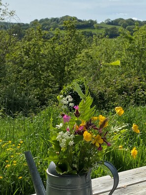 DĂ©tail de lâextĂ©rieur