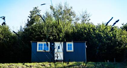 Shepherds Hut in Beautiful Dorset Countryside