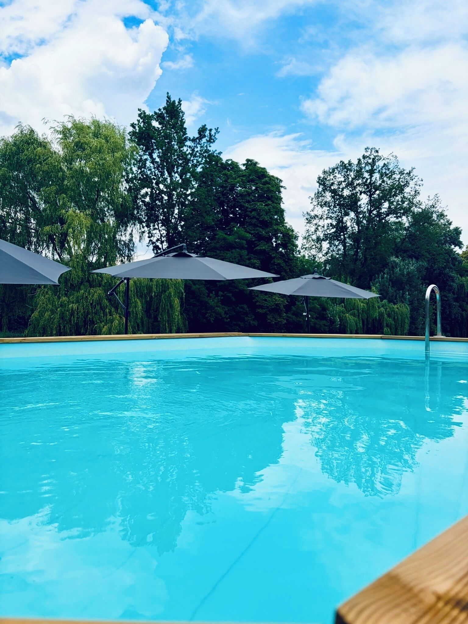 Une piscine aux eaux cristallines, avec des parasols et des arbres en arrière-plan.
