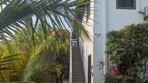 Ein weißes Gebäude mit einer Treppe, die zu einer Tür führt, umgeben von Grünpflanzen und einem Kiesweg.