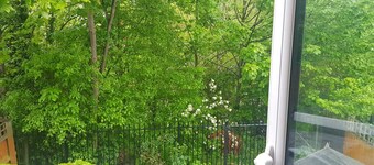 Cozy Family-sized Home Close to Shops, Forest Views, Stunning Location Free Wifi