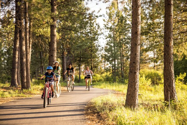 A paved path surrounded by tall trees, likely in a park or natural setting.