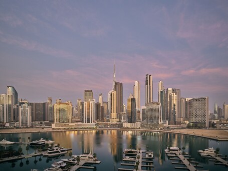 The Lana Dorchester Collection - Image 26