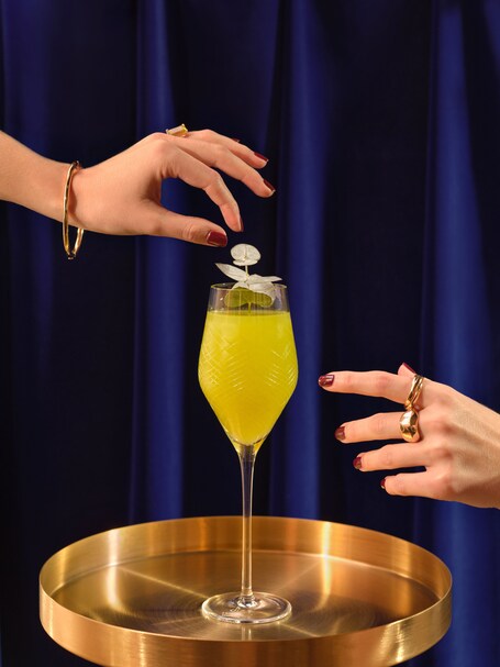 The Lana Dorchester Collection - Image 251