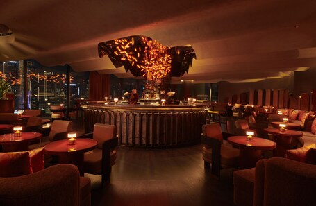 The Lana Dorchester Collection - Image 72