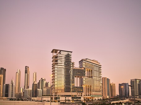 The Lana Dorchester Collection - Image 108