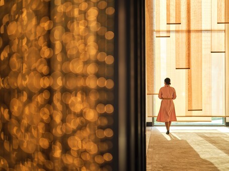 The Lana Dorchester Collection - Image 339