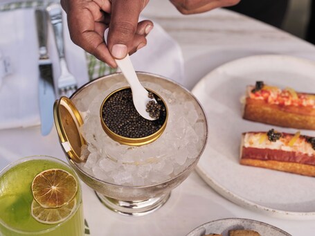 The Lana Dorchester Collection - Image 341