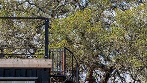 A modern building with a balcony, large windows, and a tree in the background. - New! The Sunset Luxury Container Home (Fredericksburg)