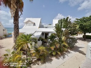 En ejendom ved stranden med en hvid bygning, palmer og havudsigt.
