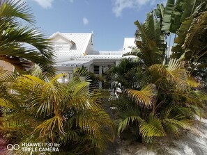 Una casa dal tetto bianco, circondata da rigogliosa vegetazione tropicale.