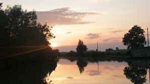 A calm body of water reflecting trees and a sunset.