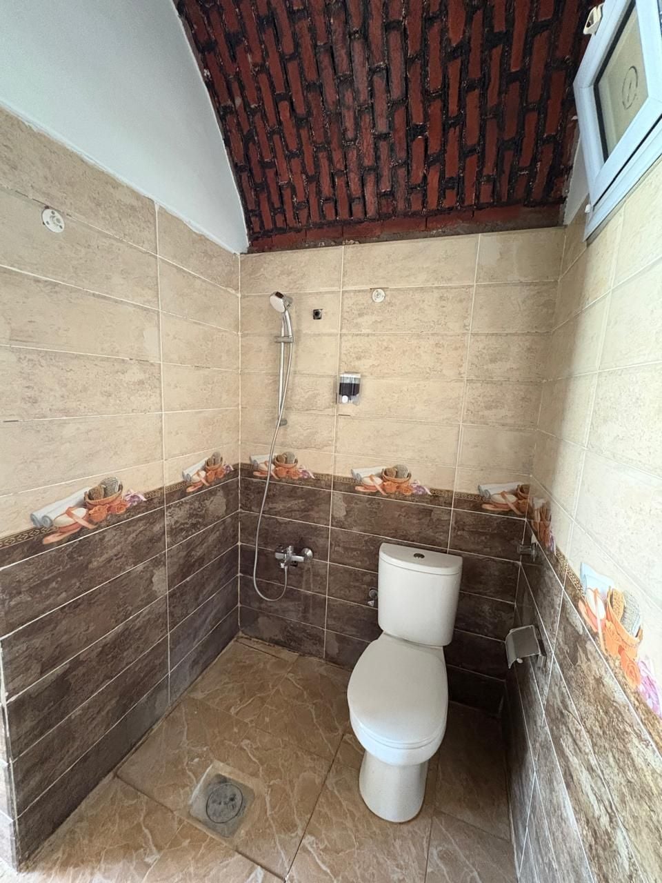 Une salle de bain avec douche, toilettes et murs carrelés.