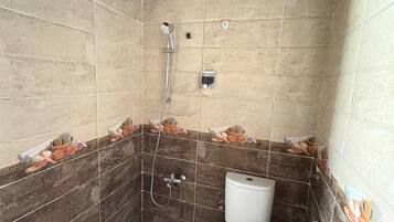 Un bagno con doccia, wc e pareti piastrellate.