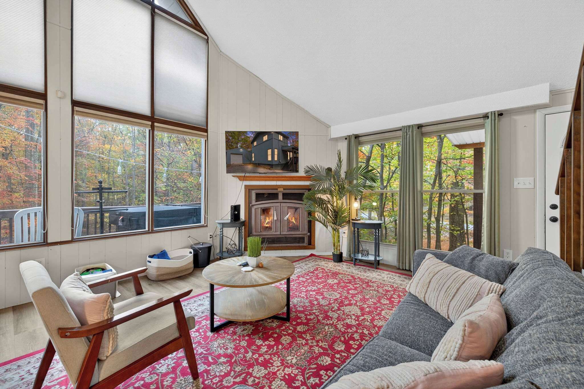 TV, fireplace, books, stereo