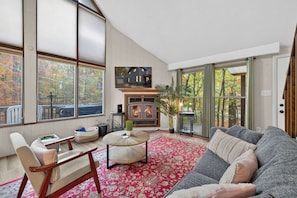 TV, fireplace, books, stereo