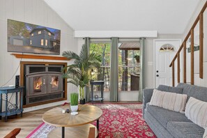 TV, fireplace, books, stereo