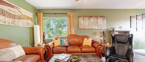 Smart TV, fireplace, books