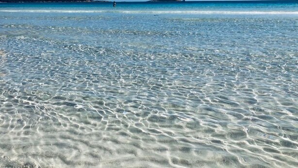 En strand med klart, lavt vand og en fjerntliggende udsigt til en lille ø.