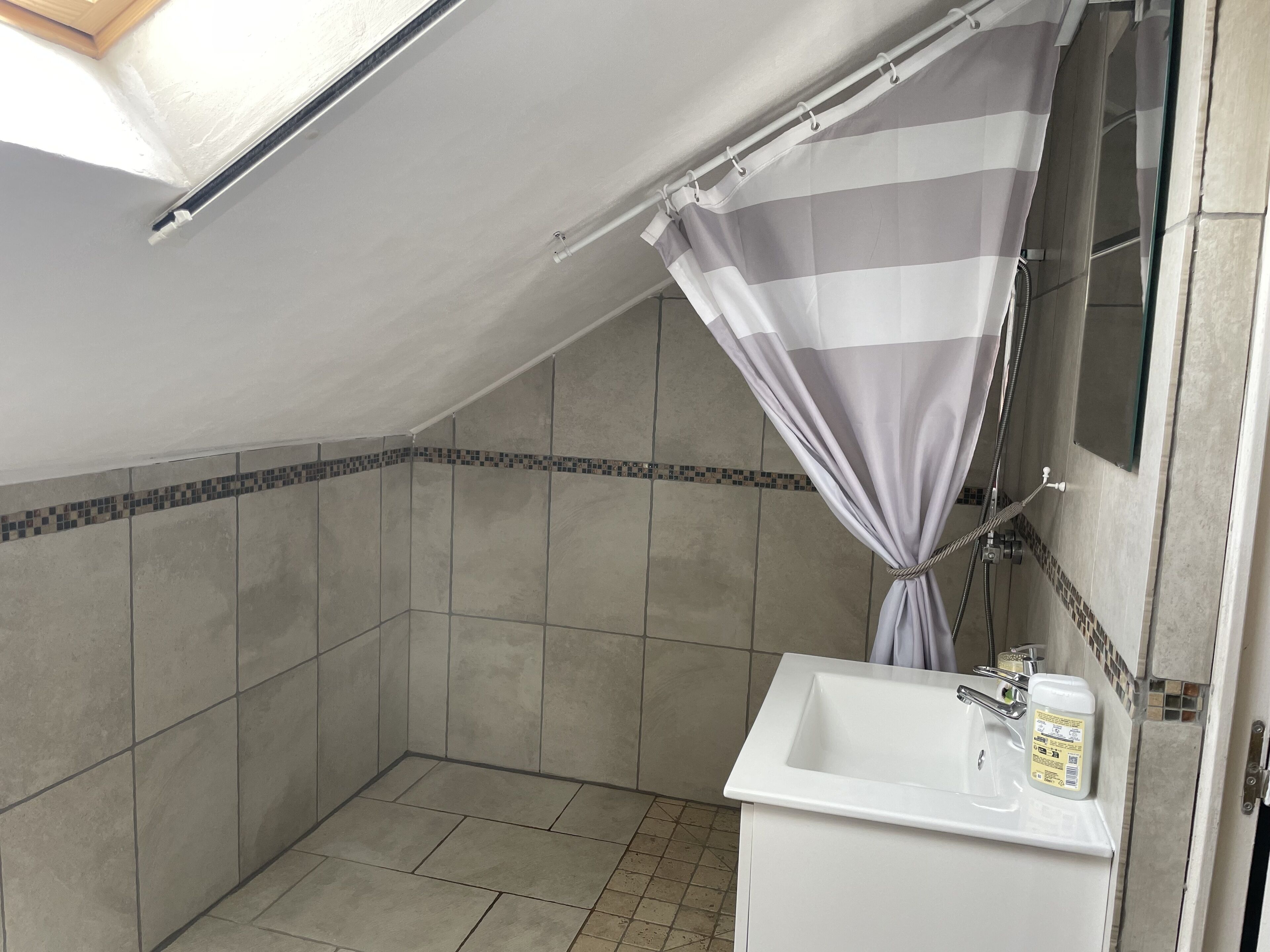 Shower, towels, soap, toilet paper