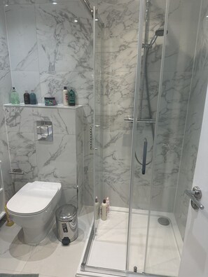 Bathroom features a glass-enclosed shower with handheld and rain showerheads, a toilet, and a shelf for toiletries.
