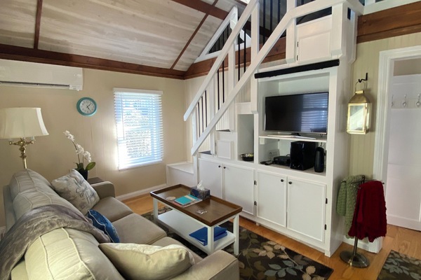 TV connectée, lecteur de DVD, livres