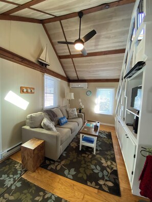 Smart TV, DVD player, books