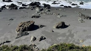 A beach with scattered rocks and waves. - Ocean Front Cabin 16 with Private Jacuzzi & Incredible Views (Private Beach by White Rock Resort) (Smith River)