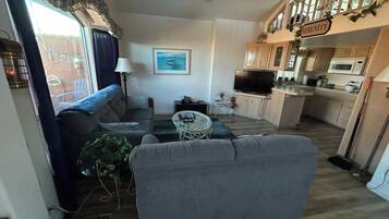 Smart TV, fireplace, books