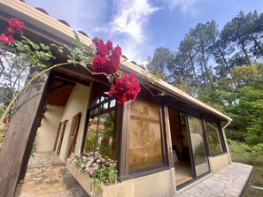 Détail de l’extérieur