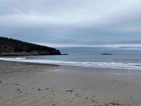 Enjoy a serene beach experience with access to the ocean and a scenic forested backdrop.