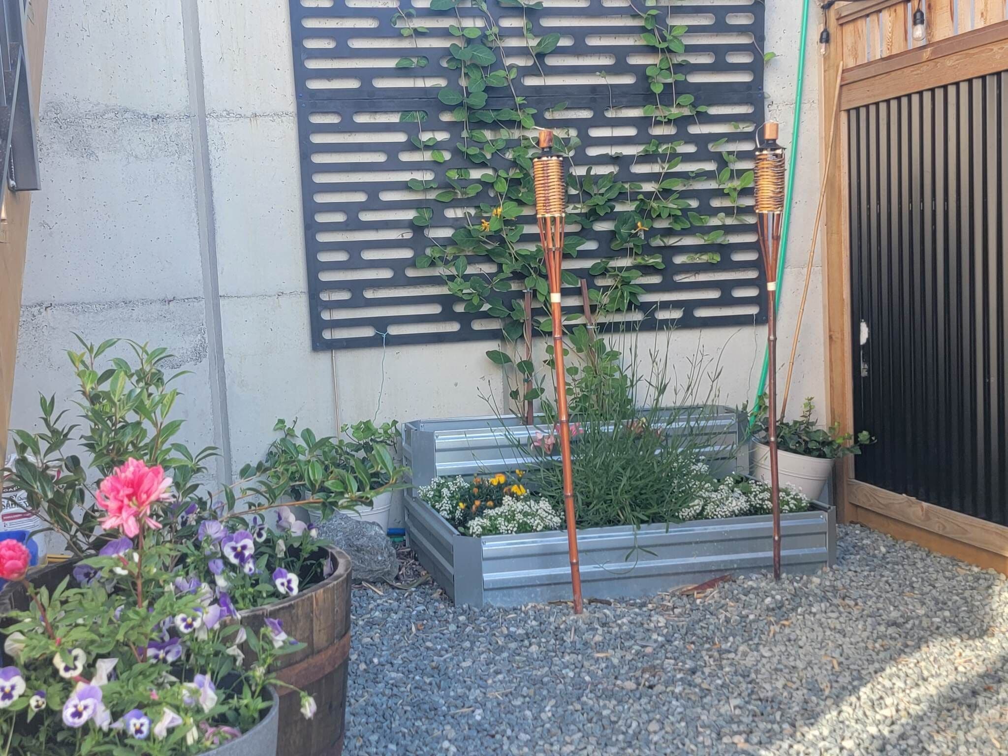 Un jardin agrémenté de diverses plantes et fleurs, une clôture en métal et une porte en bois.