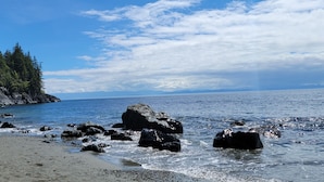 Une plage rocheuse avec des vagues, une falaise boisée et un ciel dégagé.