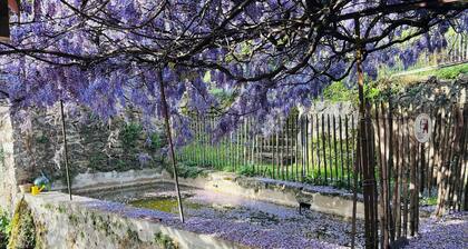 Mas en Cevennes