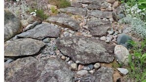 Un sendero de piedra que lleva a una cabaña rústica rodeada de abundante vegetación.