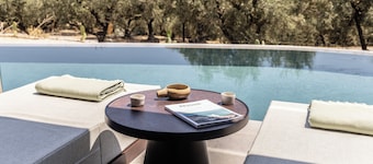King Jason Zante – Designed for Adults