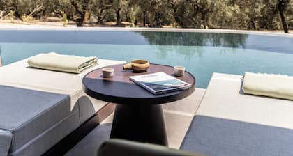 King Jason Zante – Designed for Adults