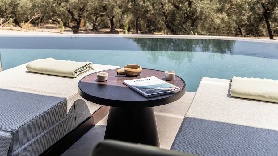 King Jason Zante – Designed for Adults