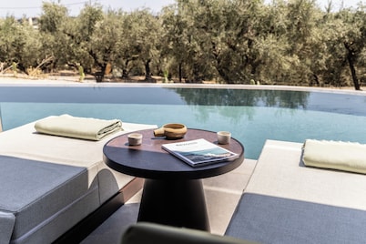 King Jason Zante – Designed for Adults