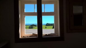 Una ventana con vista a una carretera y campos verdes.