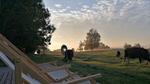 Terraza de madera con sillones de descanso con vista a un campo de césped donde pastan vacas.