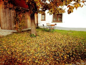 A patio with a table and chairs, surrounded by a lawn and a wooden fence.